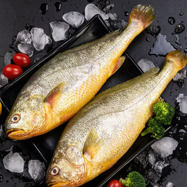 Wild Yellow Croaker